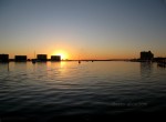 Destin Harbor at night.