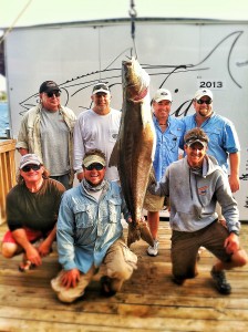 Destin Florida Cobia Fishing