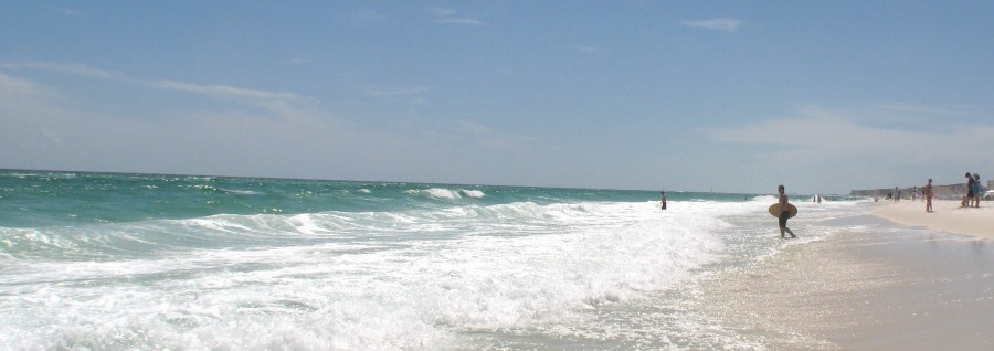 can i take my dog to the beach in destin  destin florida