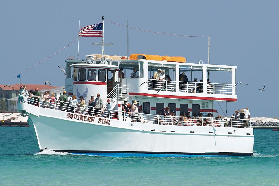 Southern Star Dolphin Cruises