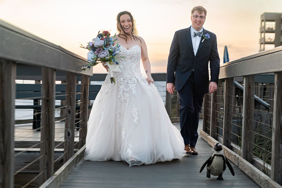 Wedding Okaloosa Island