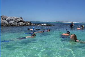 Pelican Adventures Snorkeling